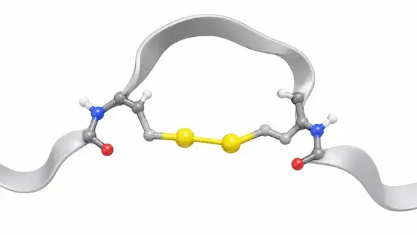 Disulfide bridge between cysteine residues in the AOD-9604 cyclic loop