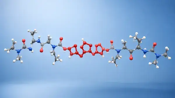 BPC-157 peptide backbone with proline kink