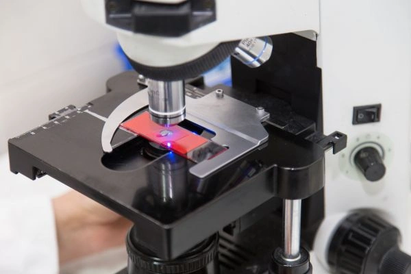 Researchers monitoring NAD+ levels in lab