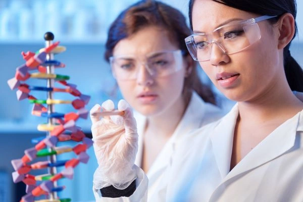 GHK-Cu researchers analyzing gene expression
